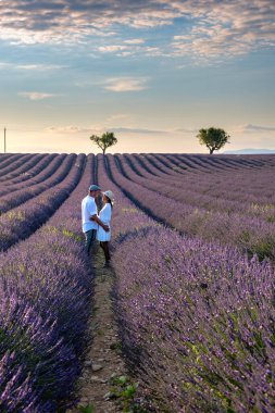 Provence lavanta tarlalarında, Provence, Lavender Field France, Valensole Platosu 'nda renkli Lavanta Platosu, Provence, Güney Fransa' da tatil yapan birkaç erkek ve kadın. Lavanta