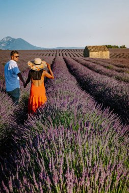 Provence lavanta tarlalarında, Provence, Lavender Field France, Valensole Platosu 'nda renkli Lavanta Platosu, Provence, Güney Fransa' da tatil yapan birkaç erkek ve kadın. Lavanta