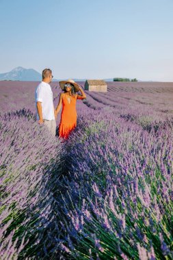 Provence lavanta tarlalarında, Provence, Lavender Field France, Valensole Platosu 'nda renkli Lavanta Platosu, Provence, Güney Fransa' da tatil yapan birkaç erkek ve kadın. Lavanta