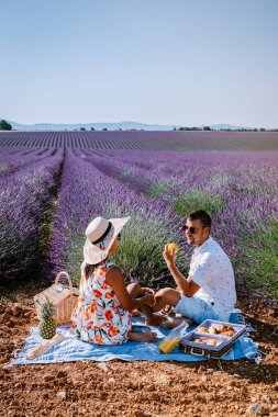 Provence lavanta tarlalarında, Provence, Lavender Field France, Valensole Platosu 'nda renkli Lavanta Platosu, Provence, Güney Fransa' da tatil yapan birkaç erkek ve kadın. Lavanta