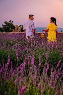 Provence lavanta tarlalarında, Provence, Lavender Field France, Valensole Platosu 'nda renkli Lavanta Platosu, Provence, Güney Fransa' da tatil yapan birkaç erkek ve kadın. Lavanta