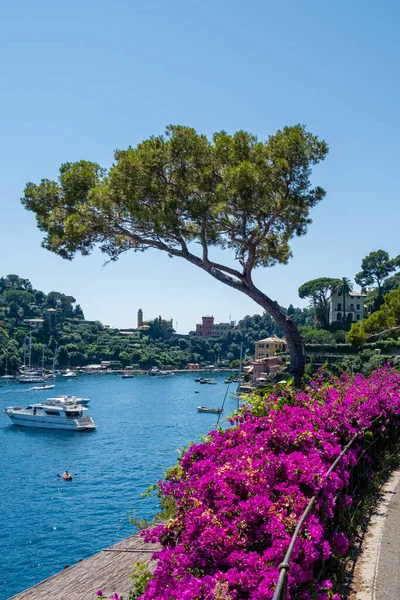 Portofino beroemde baai van het dorp, Italië kleurrijk dorp Ligurische kust — Stockfoto
