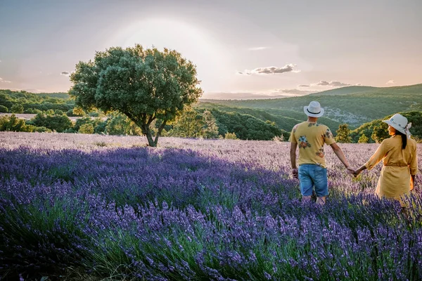 Lavendelfelder in der Ardeche in Südfrankreich bei Sonnenuntergang, Lavendelfelder in der Ardeche in Südostfrankreich, Paar Männer und Frauen beim Sonnenuntergang in Lavendelfeldern in Südfrankreich — Stockfoto