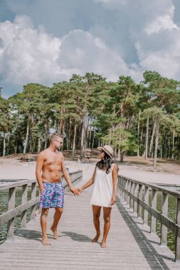 Hollanda, Utrecht 'te Henschotermeer adında bir göl. İnsansız hava aracıyla... Hollanda 'da göl, Henschotermeer, Heuvelrug...