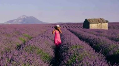 Provence, Lavanta tarlası Fransa, Valensole Platosu, Güney Fransa, Lavender Valensole Platosu 'nun renkli tarlası. Lavanta tarlası. Avrupa. Kadın Provence lavanta tarlalarında tatilde.,