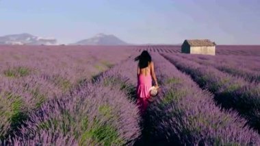 Provence, Lavanta tarlası Fransa, Valensole Platosu, Güney Fransa, Lavender Valensole Platosu 'nun renkli tarlası. Lavanta tarlası. Avrupa. Kadın Provence lavanta tarlalarında tatilde.,