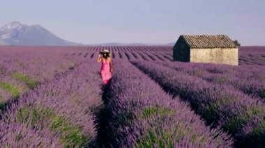 Provence, Lavanta tarlası Fransa, Valensole Platosu, Güney Fransa, Lavender Valensole Platosu 'nun renkli tarlası. Lavanta tarlası. Avrupa. Kadın Provence lavanta tarlalarında tatilde.,