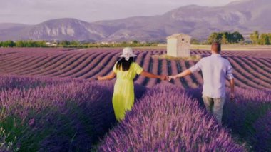 Provence, Lavanta tarlası Fransa, Valensole Platosu, Güney Fransa, Lavender Valensole Platosu 'nun renkli tarlası. Lavanta tarlası. Avrupa. Kadın Provence lavanta tarlalarında tatilde.,