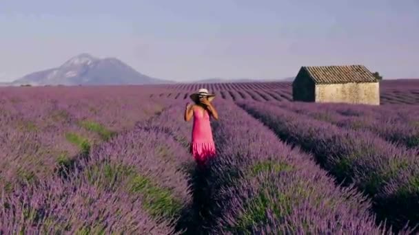 Provence, Lavender field Francie, Valensole Plateau, barevné pole Lavender Valensole Plateau, Provence, jižní Francie. Levandulové pole. Evropa. žena na dovolené na levandulových polích provence, — Stock video