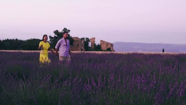 Provence, Lavender field France, Valensole Plateau, πολύχρωμο πεδίο του Οροπεδίου Lavender Valensole, Provence, Νότια Γαλλία. Πεδίο Λεβάντα. Η Ευρώπη. γυναίκα σε διακοπές στα χωράφια λεβάντας provence, — Αρχείο Βίντεο