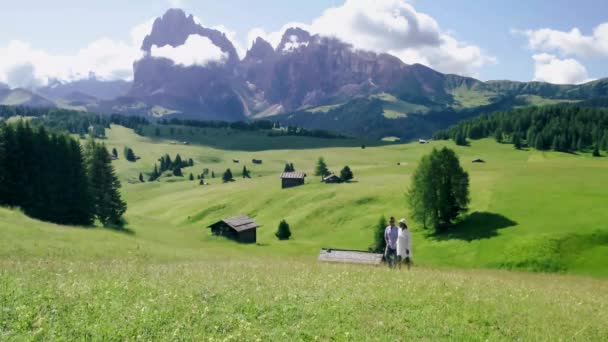 Alpe di Siusi - Seiser Alm με Sassolungo - Langkofel ορεινή ομάδα στο παρασκήνιο κατά το ηλιοβασίλεμα. Κίτρινα ανοιξιάτικα λουλούδια και ξύλινα σαλέ σε Δολομίτες, Trentino Alto Adige, Νότιο Τιρόλο, Ιταλία — Αρχείο Βίντεο