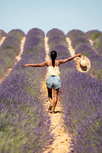 Rózsaszín lila levendula mezők virágoznak a provence-i Franciaországban — Stock Fotó