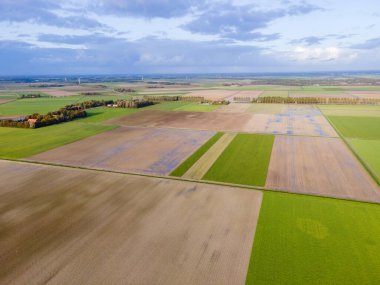Hollanda 'daki temiz yeşil çayırlar, yukarıdan yeşil tarlaların ve çiftlik evlerinin hava aracı görüntüsü, tipik Hollanda manzarası, Hollanda, Hollanda