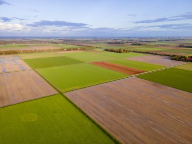 Hollanda 'daki temiz yeşil çayırlar, yukarıdan yeşil tarlaların ve çiftlik evlerinin hava aracı görüntüsü, tipik Hollanda manzarası, Hollanda, Hollanda