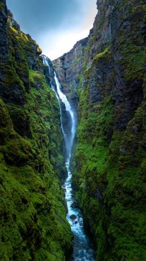 Şelale zarif bir şekilde İzlanda 'daki canlı yeşil kayalıklarla çevrili Glymur şelalesinden aşağı akıyor. Bu nefes kesen doğa harikası doğaya huzurlu bir kaçış sunuyor güzellik, davetkar keşif..