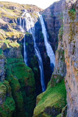 Su yüksek kayalıklardan dramatik bir şekilde akar ve İzlanda 'da canlı yeşil yosun ve kayalık araziyle çevrili çok güzel şelaleler yaratır. Glymur şelalesi