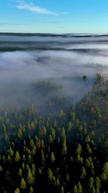 Sabah sisi, Julma Olkky Kanyonu 'nu çevreleyen yemyeşil ormanları örtüyor. Doğa Hossa Ulusal Parkı 'nda uyanıyor. Huzurlu güzellikler, yemyeşil ağaçlar ve sakin manzaralar sergileniyor..