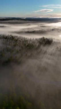 Hossa Ulusal Parkı 'na yerleşen Canyon Gölü Julma Olkky sis kaplı ormanların nefes kesici manzaralarını sunuyor. Finlandiya 'da çam ağaçlarının üzerinde sisli gün doğumu