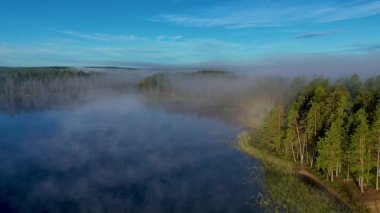 Finlandiya 'nın Hossa Ulusal Parkı' ndaki gür ormanlar ve kayan sisle çevrili gölün sakin sularını gün doğumunda keşfedin. Bu nefes kesici manzara macera ve barışı davet ediyor..