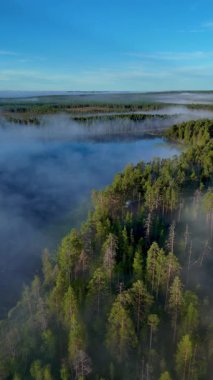Julma Olkky Kanyonu 'nun nefes kesici manzaraları sabahın erken saatlerinde sisle kaplandı. Finlandiya, Hossa Ulusal Parkı 'ndaki bu sakin konumda evcilleştirilmemiş doğanın güzelliği sergilenmektedir..