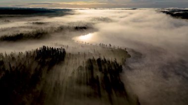 Yoğun ormanların ortasındaki sakin sular üzerinde zarif bir şekilde yükselen Julma Olkky gölünün nefes kesici şafağına tanık olun. Finlandiya 'daki Hossa Ulusal Parkı' nda güne sakin bir başlangıç.