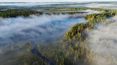Julma Olkky 'deki Kanyon Gölü' nün sabah sisi Finlandiya 'daki Hossa Ulusal Parkı' nın yemyeşil manzarasını gözler önüne sermektedir. Bu sakin sahne, doğada sükunet ve keşfi davet eder..