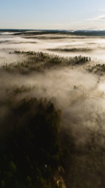 Finlandiya 'daki Hossa Ulusal Parkı' nın büyüleyici sis kaplı ormanlarını araştırın. Bu hava manzarası, doğa aşıkları için mükemmel olan Canyon Gölü Julma Olkky 'nin sakinliğini ve güzelliğini vurgular..