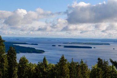 Finlandiya 'da yemyeşil ormanlarla iç içe geçmiş uçsuz bucaksız mavi göllerin yer aldığı Koli Milli Parkı' nın çarpıcı manzarası.