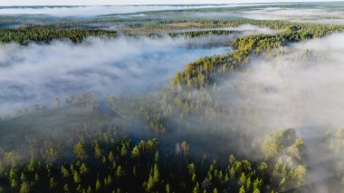 Sabah sisi Finlandiya 'nın Hossa Ulusal Parkı' ndaki Julma Olkky Kanyonu 'nu çevreleyen yemyeşil ormanları kaplayarak açık hava maceraları ve doğa severler için mükemmel bir ortam yaratır..