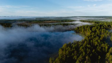 Sabahın erken saatlerinde Finlandiya 'nın Hossa Ulusal Parkı' ndaki Julma Olkky Kanyonu 'nun sakin sularını kaplayan sis, sakin göl yüzeyini yansıtan gür ormanlarla dolu sakin bir manzara yaratır..