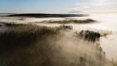 Sis bir göl üzerinde sürükleniyor ve Hossa Ulusal Parkı 'nda mistik bir atmosfer yaratıyor. Sisten çıkan uzun ağaçlar, şafak vakti Fin doğasının sakin güzelliğini gözler önüne seriyor..