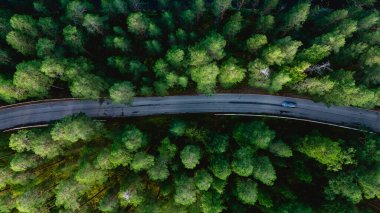 Finlandiya, Punkaharju 'nun canlı yeşil ormanlarında yuva yapmış kıvrımlı bir yolun nefes kesici manzarasını keşfedin. Doğada huzurlu bir yolculuk. Huzur bekliyor..