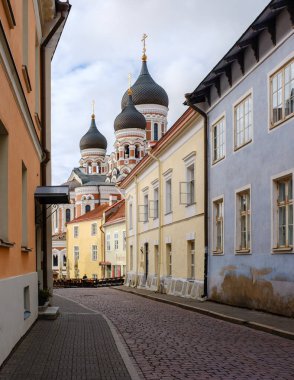 Tallinn, Estonya, 26 Ağustos 2025, Tallinn, Estonya 'da büyüleyici binaların çerçevelediği güzel bir kaldırım taşı caddesinde dolaşın..