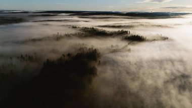 Sis, Julma Olkky Kanyonu 'nu kaplarken sakin bir manzara beliriyor. Şafak vakti yemyeşil ormanları ortaya çıkarıyor. Sakin sular gündoğumunun yumuşak tonlarını yansıtır. Finlandiya 'nın doğal güzelliklerini gösterir..