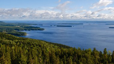 Finlandiya 'daki Koli Milli Parkı' nın tepelerini yemyeşil örtüyor ve aşağıdaki geniş göllerle güzel bir tezat oluşturuyor. Bu sakin sahne doğayı, dinginliği ve canlı renkleri yakalar..