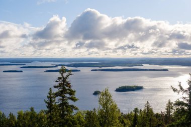 Finlandiya 'daki Koli Milli Parkı 