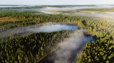 Hossa Ulusal Parkı 'ndaki muhteşem bir göl manzarası, sakin sulardan yükselen yemyeşil ormanları ve sisi gösteriyor. Finlandiya 'da doğa severler ve açık hava maceraları için mükemmel bir ortam