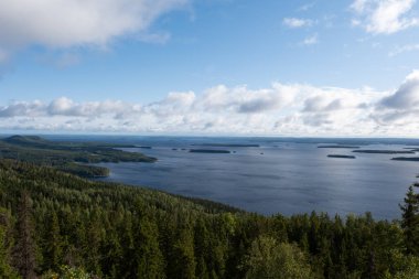 Koli Milli Parkı 'nın çarpıcı manzarasının tadını çıkarın, yemyeşil ormanlar ve dingin göller sergileniyor. Finlandiya 'da gündüz vakti huzurlu bir ortamda doğa ile iletişim kurmak ve yürüyüş yapmak için mükemmel bir yer.
