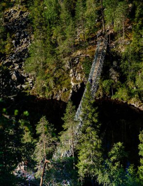 Finlandiya 'daki Hossa Ulusal Parkı' na kurulmuş Julma Olkky Kanyonu 'nun doğal ihtişamını araştırın. Yükselen ağaçlar ve kayalık kayalıklar huzurlu suyu çerçeveler, maceraperestleri çağırır.