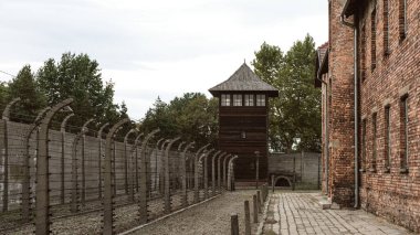 Polonya 'daki Auschwitz Birkenau toplama kampında sakin ama rahatsız edici bir sahne. Anıt alanı, manzaranın katıksız güzelliğini yakalıyor, geçmişi yansıtıyor ve acı çekenleri onurlandırıyor..