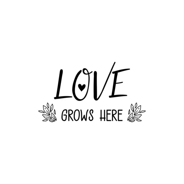 Love Grows Here Lettering Ink Illustration Modern Brush Calligraphy Isolated — Stock Vector