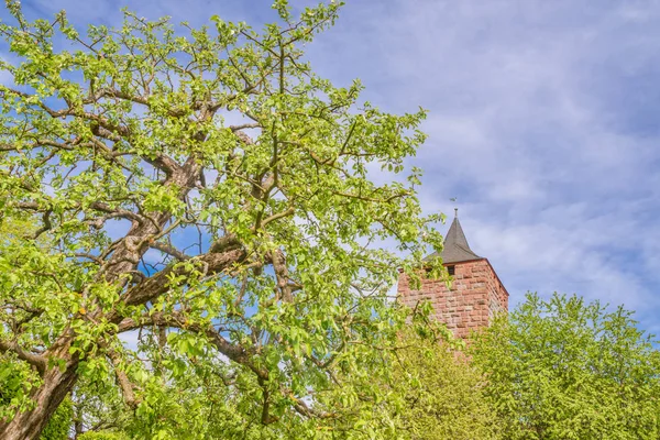 Rovine Castello Germania Baviera — Foto Stock