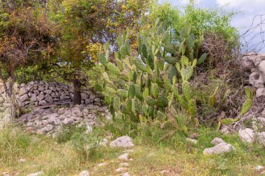Am Strassenrand ausgelegter Zaun aus Steinen