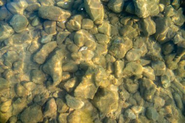 Unter dem Wasser, klares Meer 