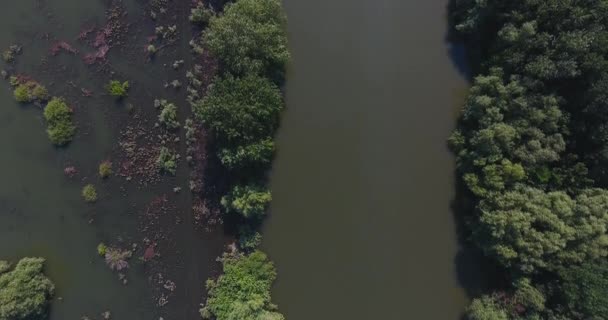 Een overstroomde rivier gefilmd met een drone van een hoogte in de zomer — Stockvideo