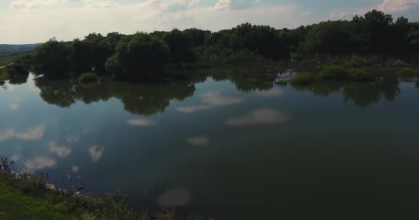 Een overstroomde rivier gefilmd met een drone van een hoogte in de zomer — Stockvideo