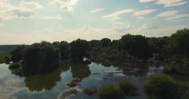 夏に高さからドローンで撮影された浸水した川 — ストック動画