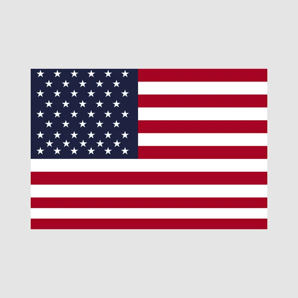 Usa Flagga Vektor Illustration Bakgrund — Stock vektor