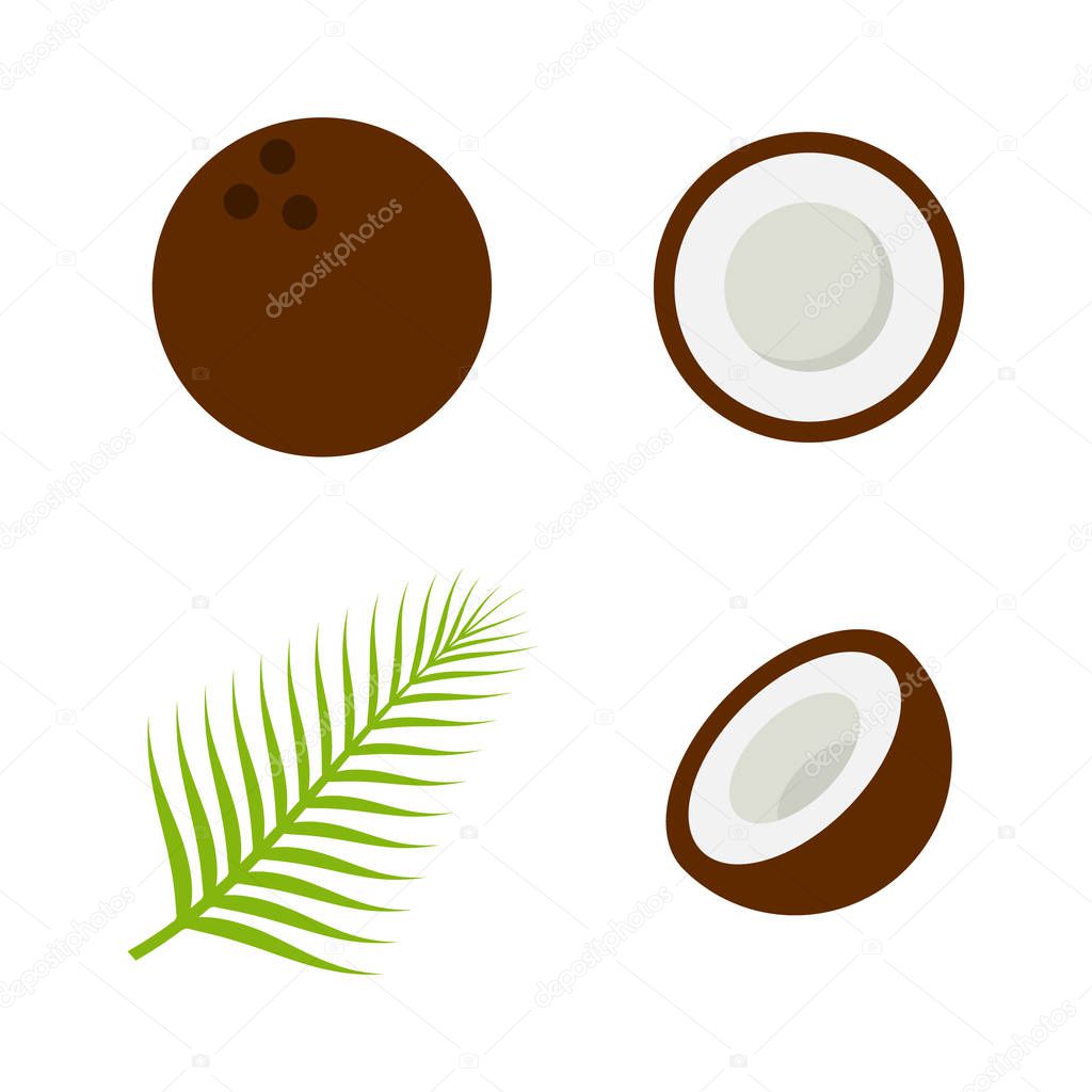 Coconut icon flat style. Vector eps10 illustration