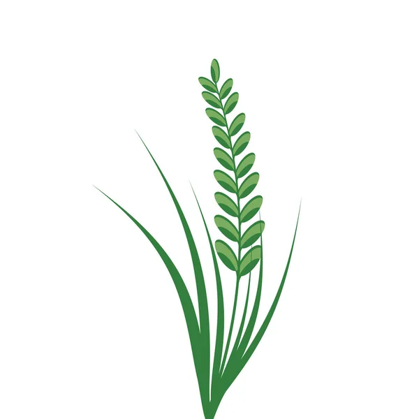 Icono de espiguilla de arroz. Vector eps10 — Vector de stock